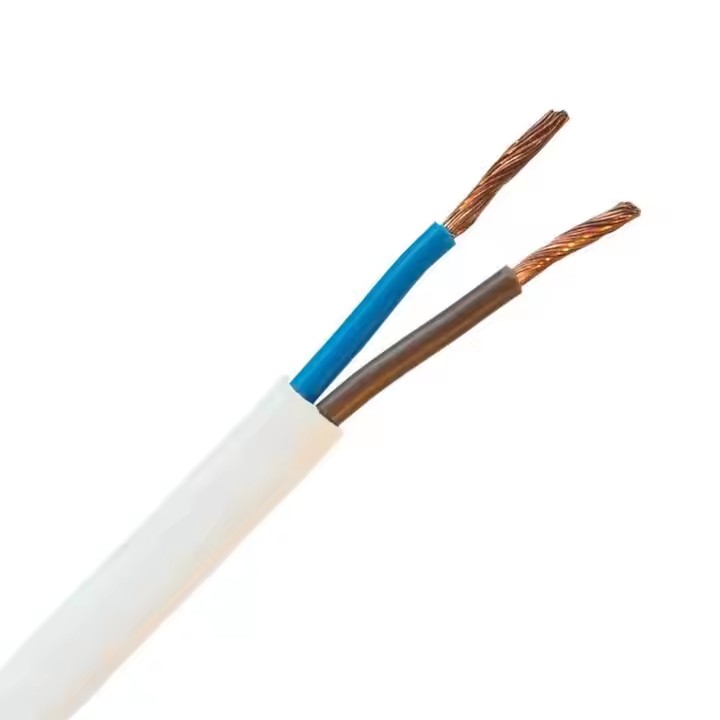 Flat Cable H03VVH2-F 2x0.75mm 250V 10A Extension Cord Electrical PVC Construction Cable Wire